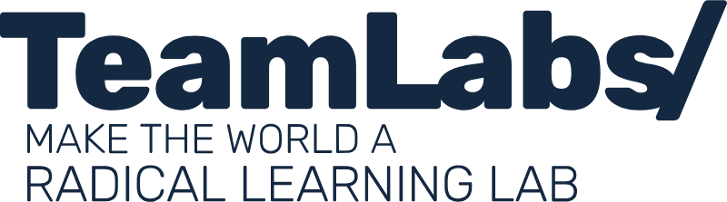 Teamlabs University